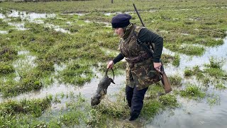 Hunting the sea otter that attacked the ducks