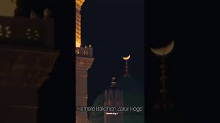 Hamari Bakshish Zarur Hogi ﷺKe Sadqe Me ||#Milad un Nabi ﷺ||#Shorts