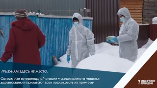 Грызунам здесь не место.