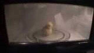 tweetie checking the microwave