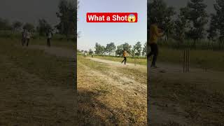 Most Unique Cricket Shot⚡🏏 #cricket #shorts #cricketlover #cricketshorts #viral #wtf