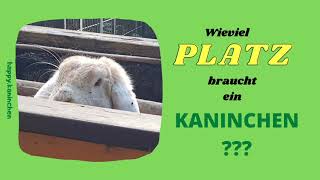 Wieviel Platz braucht ein Kaninchen?