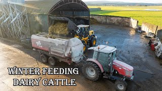 Winter Feeding | 3.7 Tonnes of Silage in one Bucket