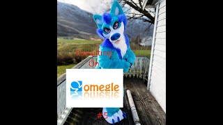 Fursuiting On Omelge #5