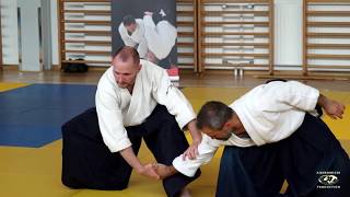 Aikido: Stephane Goffin  Ptuj 2019