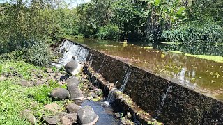 Beautiful Place near Riviere du rempart 🇲🇺