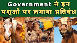 Government ने इन पशुओं पर लगाया Ban II KISAN BHARTI TV