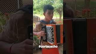 Los chicos practicando un cortacacho