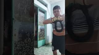 Bẻ 70kg haoying 1 đùi