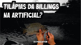 PESQUEI TILÁPIA SELVAGEM NA ARTIFICIAL - REPRESA BILLINGS