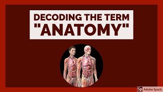 Decoding the term "Anatomy" | Introduction to Anatomy | Anatomy for Beginners | Anatomy lectures