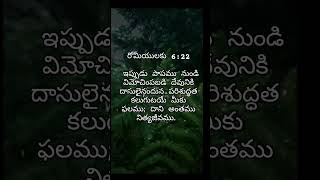 #christianwhatsappstatus #teluguchristianworshipsongs#christianworship #trending #gathakalamantha