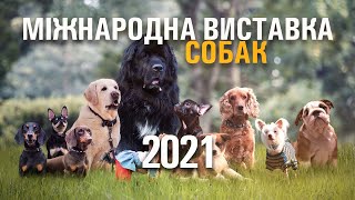 Міжнародна виставка собак 2021