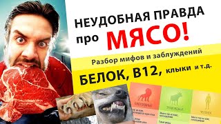 МЯСО. БЕЛОК. В12. Хищники и травоядные. Видовое питание человека