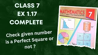 Class 7  Ex 1.17 Complete | Whether given number is a Perfect Square or not ?