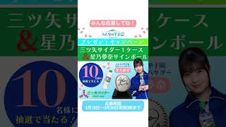 みんなの甲子園プレゼントキャンペーン‼