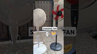 Standing Fan