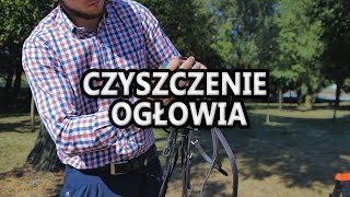 Czyszczenie ogłowia- Jak czyścić ogłowie? Szybkie, codzienne czyszczenie.