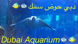 Dubai Aquarium / دبي حوض سمك