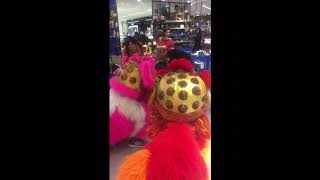 Chinese New Year lion dance 2019