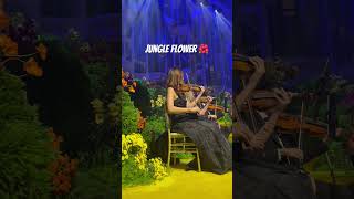 Jungle Flower 🌺 Sydney Town Hall 🎻 #music #violin