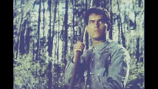 Jeffrey Hunter, Harry Carter - "Lure of the Wilderness" 황야荒野의 유혹誘惑 1952