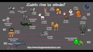 ¿Cuántos años viven los animales?