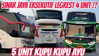 Wow Sinar Jaya Eksekutif Legrest Sekarang Jalan 4 Unit⁉️ Rombongan Bus Jamaah Haji, Kupu Kupu Ayu