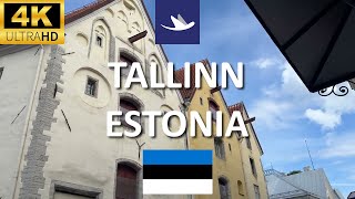 🇪🇪 Tallinn, Estonia - Pikk street and Raekoja plats - Old town (4K)