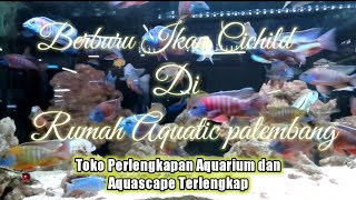 Toko ikan hias dan Aquascape terlengkap dan terbesar di palembang | Rumah Aquatic Palembang