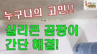 청소의 꽃 *** 화장실 실리콘 곰팡이 확실히 간단히 제거 !! 깔~끔하게~~