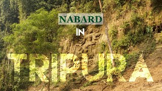 NABARD in Tripura