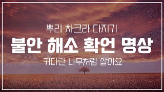 불안 해소 확언 명상 🌳 뿌리 차크라 확언