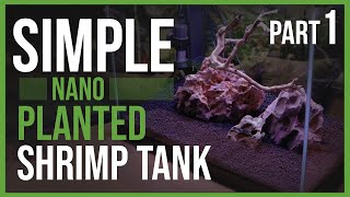 How To Build An EASY Shrimp Tank | Part 1