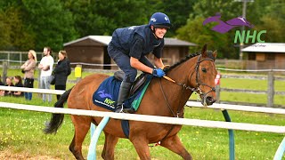 From no horse experience, to work placement in a top NH racing yard, all in just 12 weeks