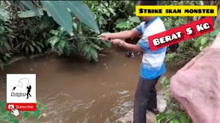 Strike ikan monster | Berat 5 kg