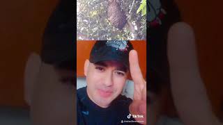 🇺🇸 Adan Flores Kings “Pasadena Texas” 💙 (adanflorestexas on TikTok🇺🇸) By Adan Flores Kings 2020