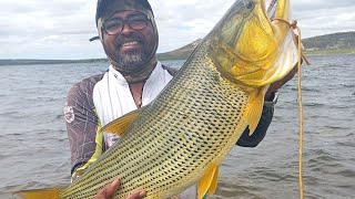 mais uma barra de ouro ,o amigão pescou @gugafish9714 barragem de Sobradinho