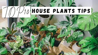 Top 10 Houseplant Care Tips Every Beginner Needs to Know