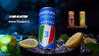 Vindarè Napoli Campione