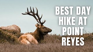 Point Reyes Elk Reserve Hike