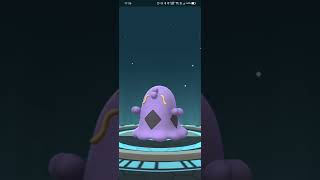 Gulpin evolve in Pokemon go