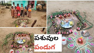 పశువులు పండుగ || సంక్రాంతి celebrations|| 2021|| rishithavarma