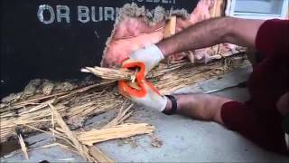 A Housewife Cries  Devastating Termite Damage to Her Home