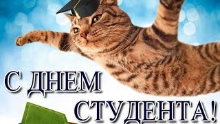 С днём студента 17 ноября #пожелания #поздравление #сднёмстудента #shortvideo