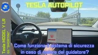 La sicurezza di Tesla Autopilot - Cosa succede in caso di Malore su Model 3/Y?