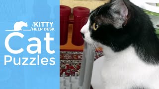 Kitty Help Desk's Guide to Cat Puzzles