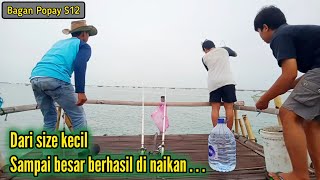 Emang dasar rumahnya ikan !! || Mancing Bagan Tanjung Kait ( Popay S12 )