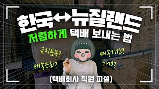 ENG 한국↔뉴질랜드 택배 저렴하게 보내는 방법(택배회사 직원 피셜) NZ↔KOREA INTERNATIONAL DELIVERY Q&Aㅣ국제항공택배ㅣ해외배송ㅣ택배가격ㅣ배송기간