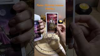 Лев. Личная жизнь Ноябрь 2024 #таро #tarot #таролог #гаданиетаро #картытаро #гадание #раскладтаро